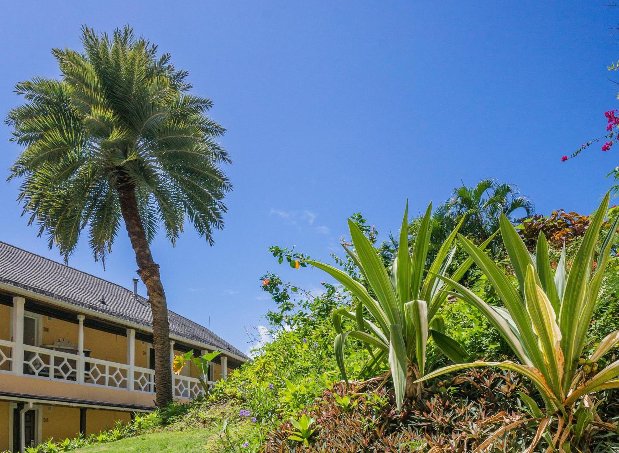 Bodyholiday St Lucia Gros Islet Kültér fotó